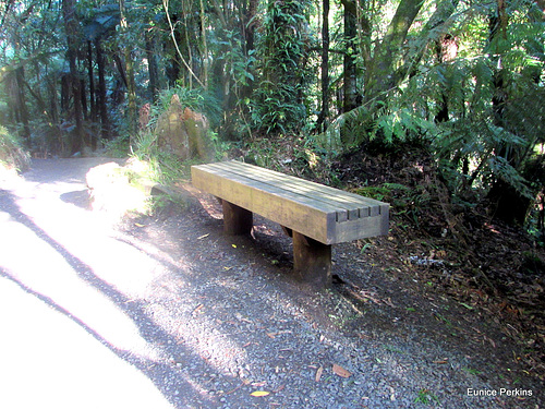 On Track to Bridal Falls