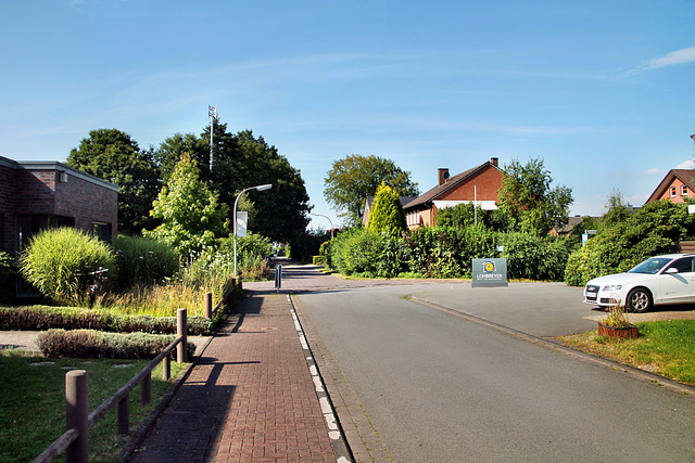 Schluerweg (Dorsten-Lembeck) / 20.07.2024