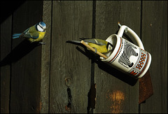 "Bist Du bald fertig?"