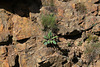 Granite et ses habitantes (6)