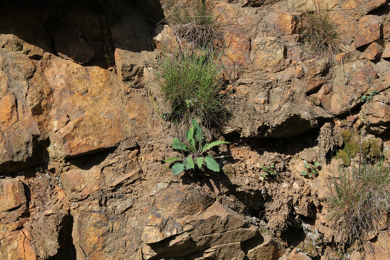 Granite et ses habitantes (6)