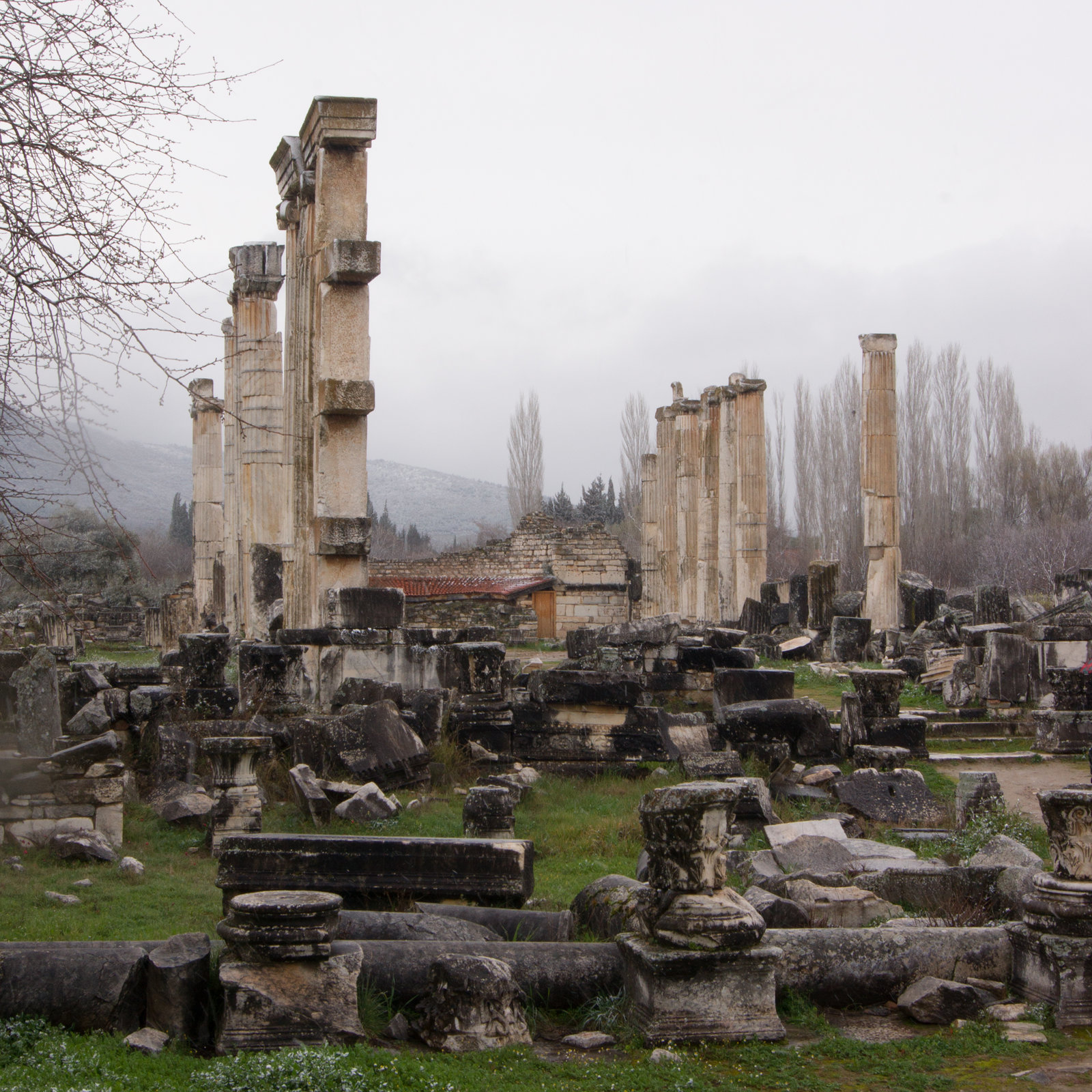 Aphrodisias - Tempel der Aphrodite DSC03694
