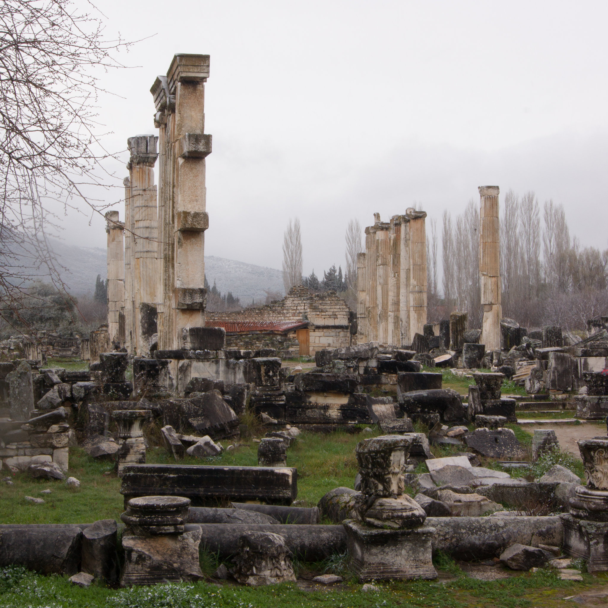 Aphrodisias - Tempel der Aphrodite DSC03694