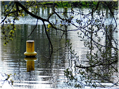 Reflets à l'étang de Bétineuc (22) avec note