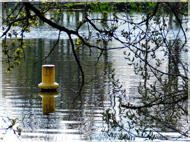 Reflets à l'étang de Bétineuc (22) avec note