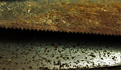 I saw a saw...a saw...a saw...a saw