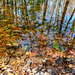 IMG 20210326 142428465 HDR
