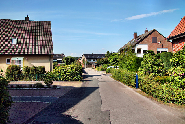 Schluerweg (Dorsten-Lembeck) / 20.07.2024