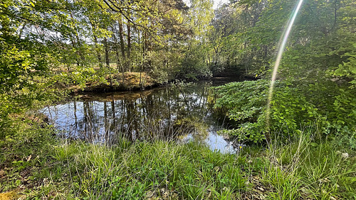 Strecke 46 – Bauwerk 176