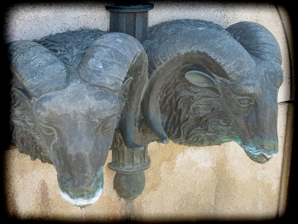 fountain