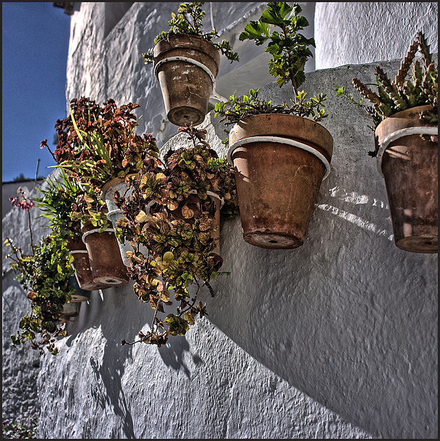 Casares