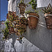 Casares