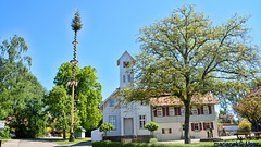 Maibaum in Sittenhardt