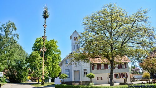 Maibaum in Sittenhardt