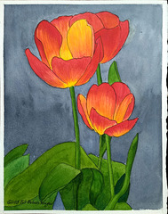 Red Tulips 11x14in