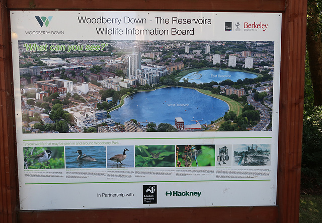 Woodberry Down Reservoirs