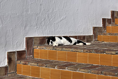 Siesta – Hotel Sindhura, Vejer de la Frontera, Cádiz Province, Andalucía, Spain