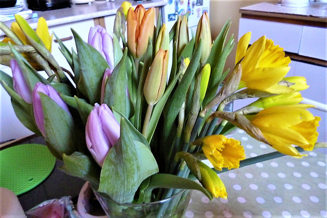 Lovely bouquet of tulips and daffodils