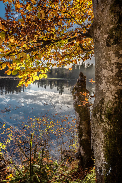 Naturidyll  ++ natural idyll Hackensee