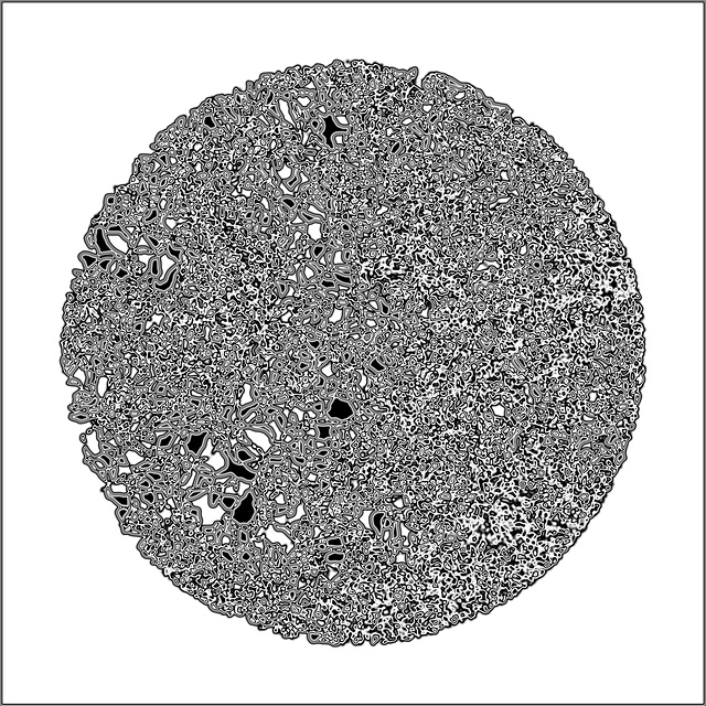 2007 08 13bis 02bis 02