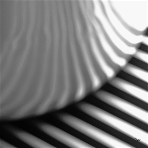 Perspectives in Mind