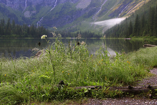 Avalanche Lake