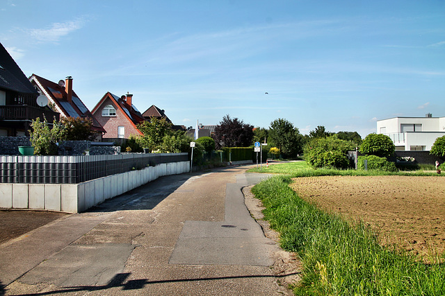 Schluerweg (Dorsten-Lembeck) / 20.07.2024