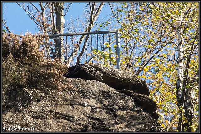 Kletterhaken am Anton-Günter-Felsen