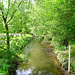 The river Sence seen from Mill Lane, Sheepy Magna