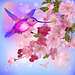 22165711-fond-de-printemps-avec-la-branche-douce-de-belles-fleurs-de-cerisier-et-voletant-colibri-Banque-d'images