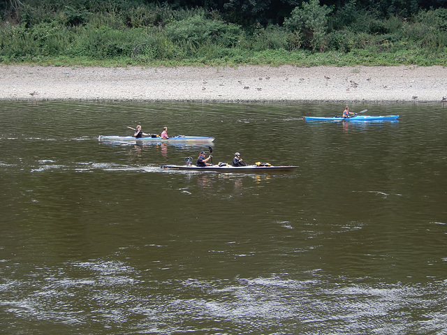 Wassersport auf der Elbe