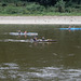 Wassersport auf der Elbe