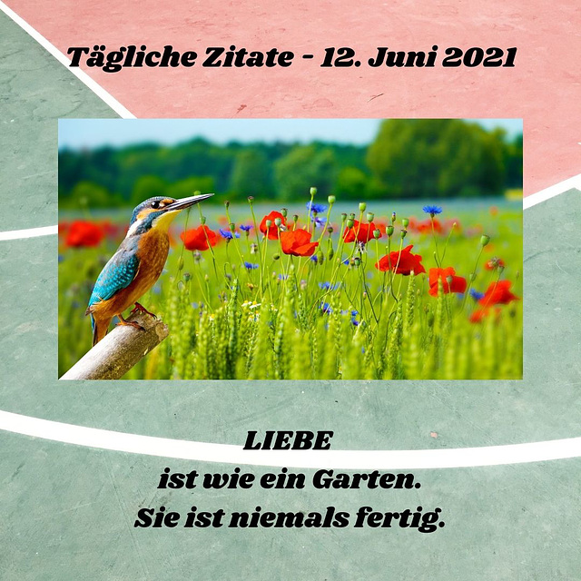 Tägliche Zitate - 12. Juni 2021