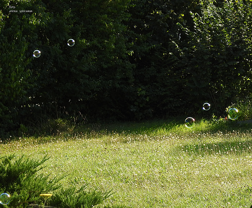 Seifenblasen im Garten