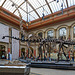 KR524484©IngoKrehl