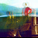 Images innées.