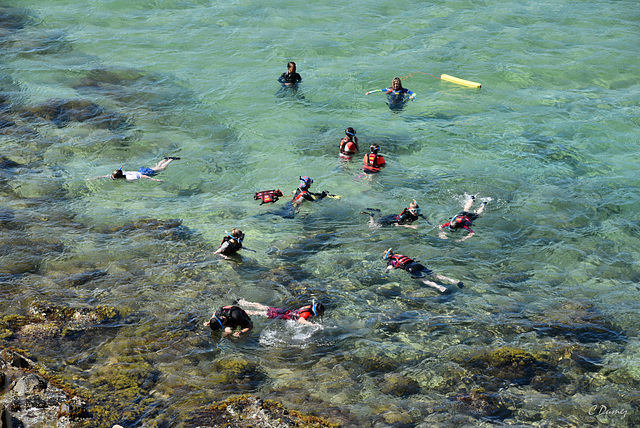 Les plaisirs de la découverte sous-marine