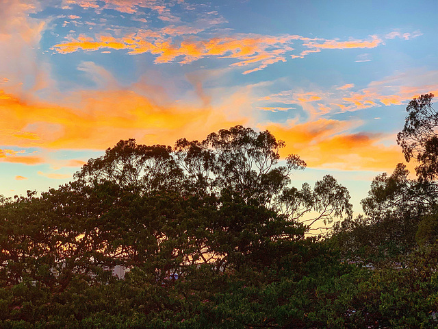 at the end of the day from our Lanai