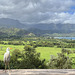 Hanalei - A Bird Eye's View