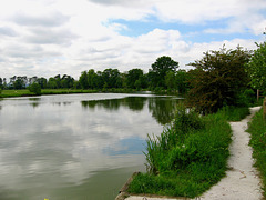 The lake in Sheepy Magna