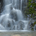 Small Falls @ Queen Elizabeth Park