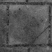 Stoeptegel - Pavement tile