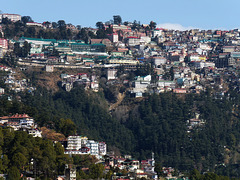 Shimla from the Sankat Mochan Temple