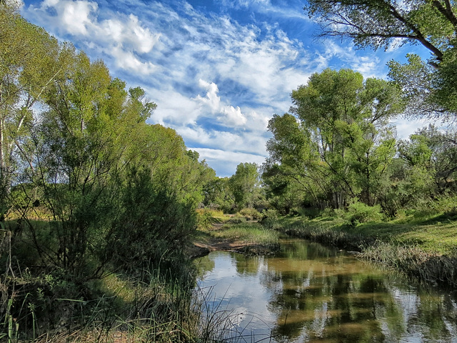 The San Pedro River