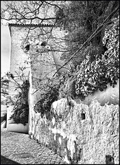 Casares