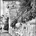 Casares