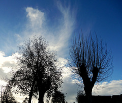 un beau ciel de Décembre