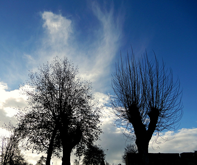 un beau ciel de Décembre