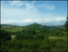 distant view of Colmer's Hill