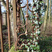 Detail of grade 1 listed gates, Nettleham Hall, Lincolnshire